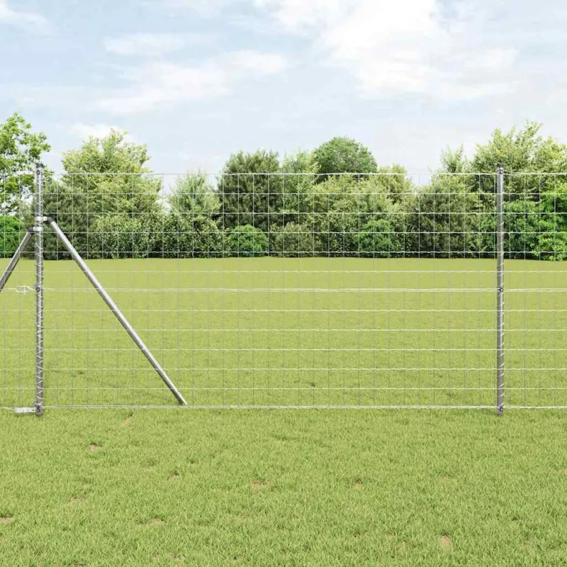 Euro tvora 1 x 10 m PVC padengta geležis