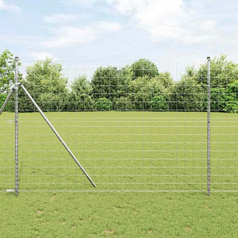 Euro tvora 1,6 x 10 m PVC padengta geležis