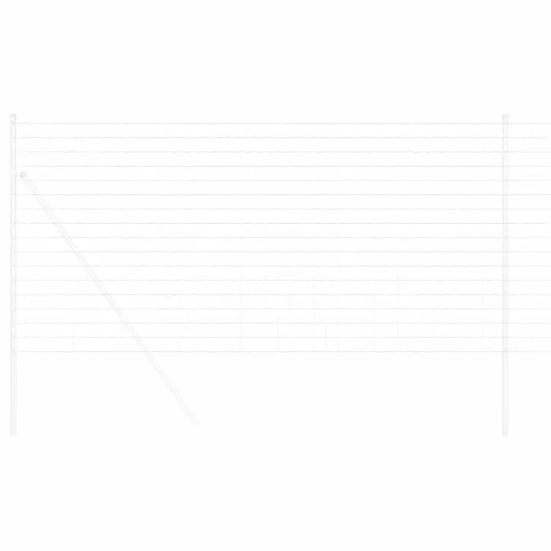 Euro tvora 1 x 10 m PVC padengta geležis