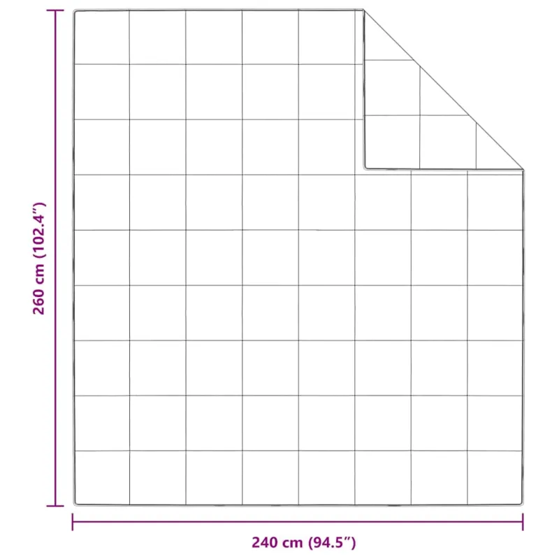 Antklodė Balta 240 x 260 cm Plunksna