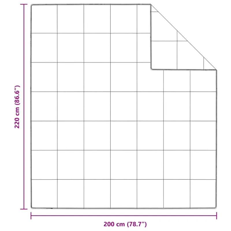 Žiemos antklodė Balta 200 x 220 cm Plunksna