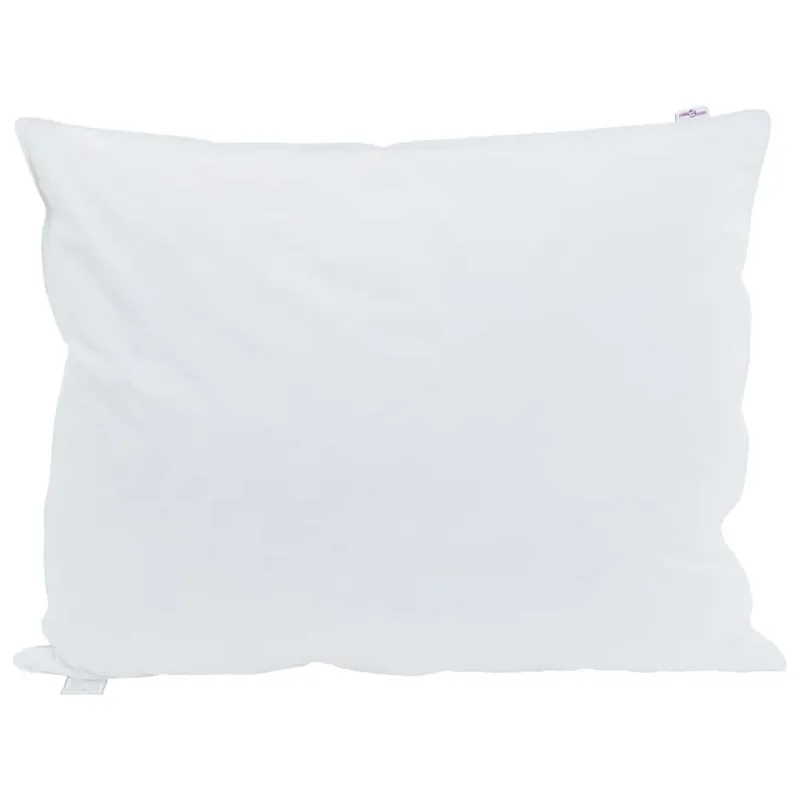 Pagalvė su pagalve 2 pcs Balta 60 x 80 cm Plunksna