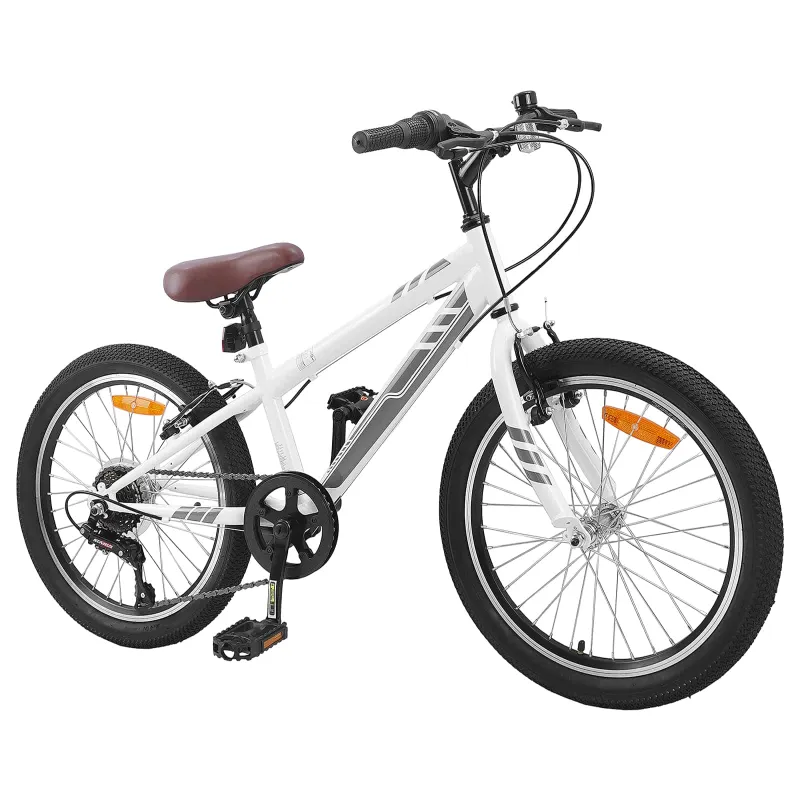 Kalnų Dviratis 20 Colių 6-Speed 5-8 metų amžiaus Balta