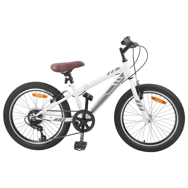 Kalnų Dviratis 24 Colių 6-Speed