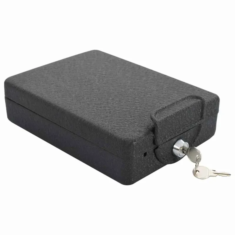 Automobilio Seifas su užraktu Juoda 22 x 16 x 7 cm Plienas