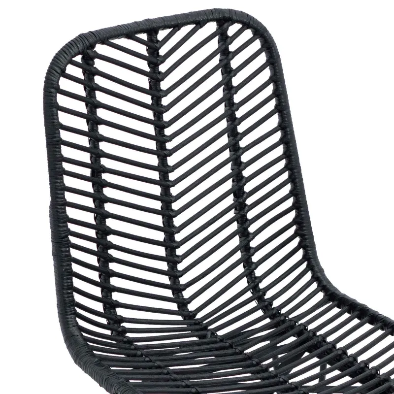 Valgomasis krėslas 2 pcs Ratanas ir Geležis Juoda