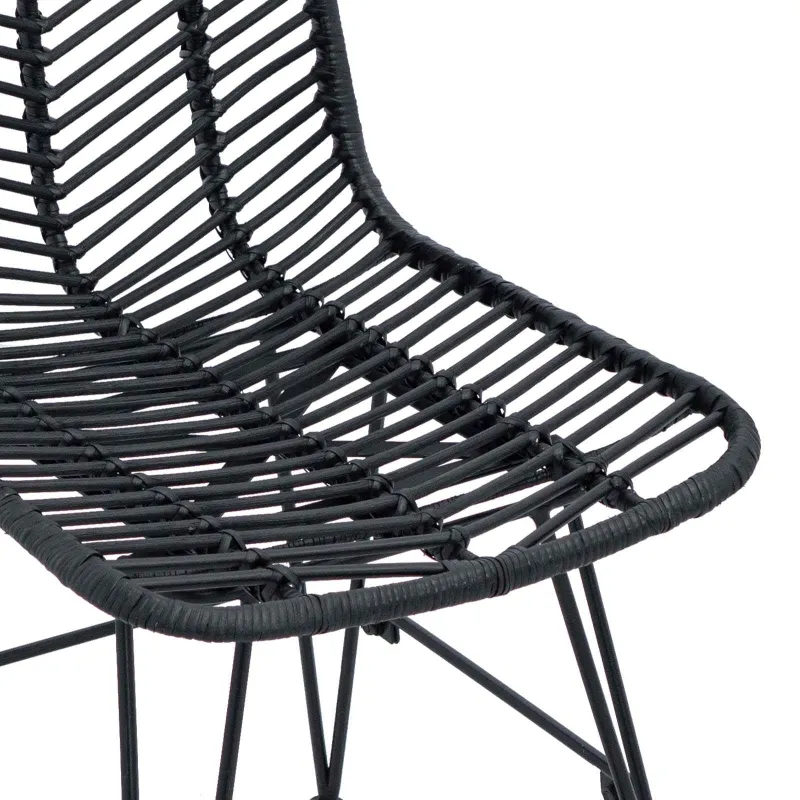 Valgomasis krėslas 2 pcs Ratanas ir Geležis Juoda