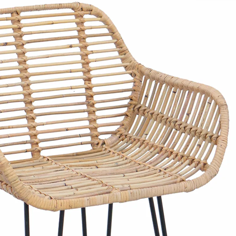 Baro Kėdė 2 pcs 55 x 52 x 92 cm Ratanas ir Geležis