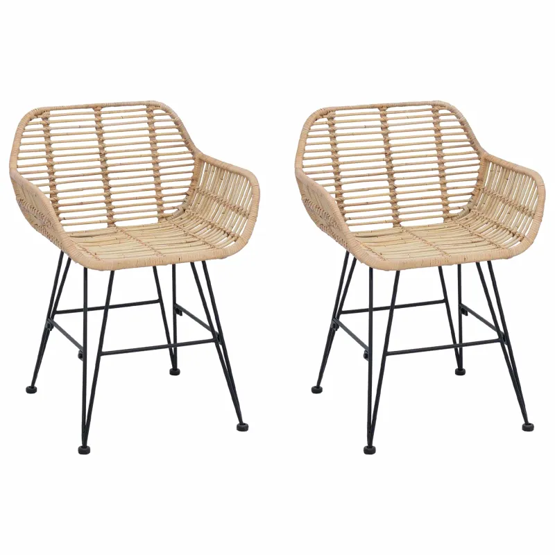 Valgomasis krėslas 2 pcs Ratanas ir Geležis Natūrali