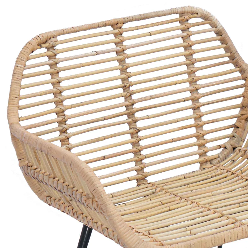 Valgomasis krėslas 2 pcs Ratanas ir Geležis Natūrali