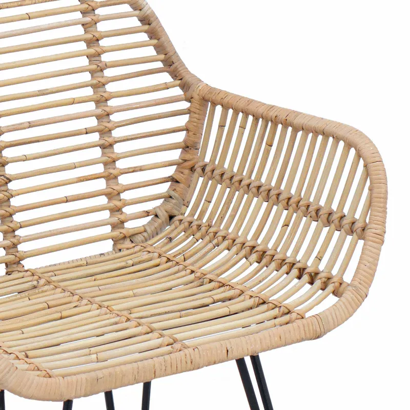Valgomasis krėslas 2 pcs Ratanas ir Geležis Natūrali