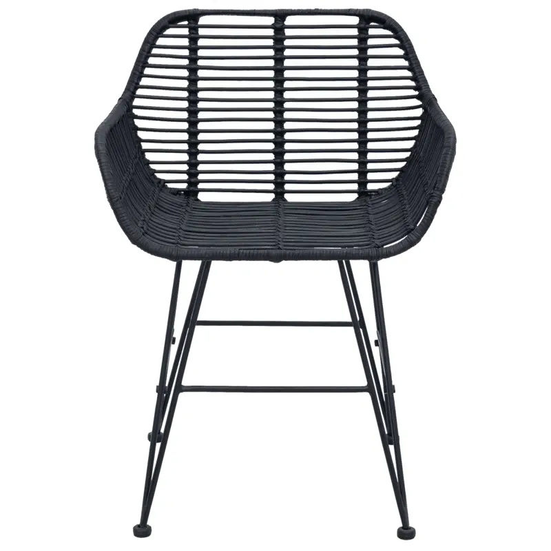 Valgomasis krėslas 2 pcs Ratanas ir Geležis Juoda