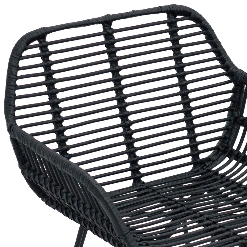 Valgomasis krėslas 2 pcs Ratanas ir Geležis Juoda