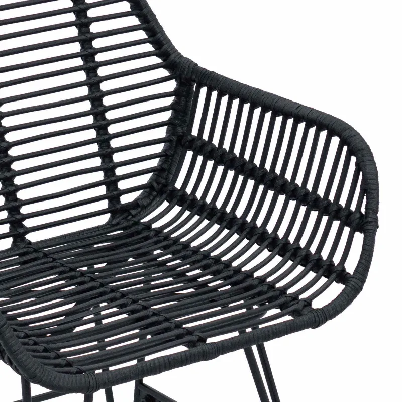 Valgomasis krėslas 2 pcs Ratanas ir Geležis Juoda