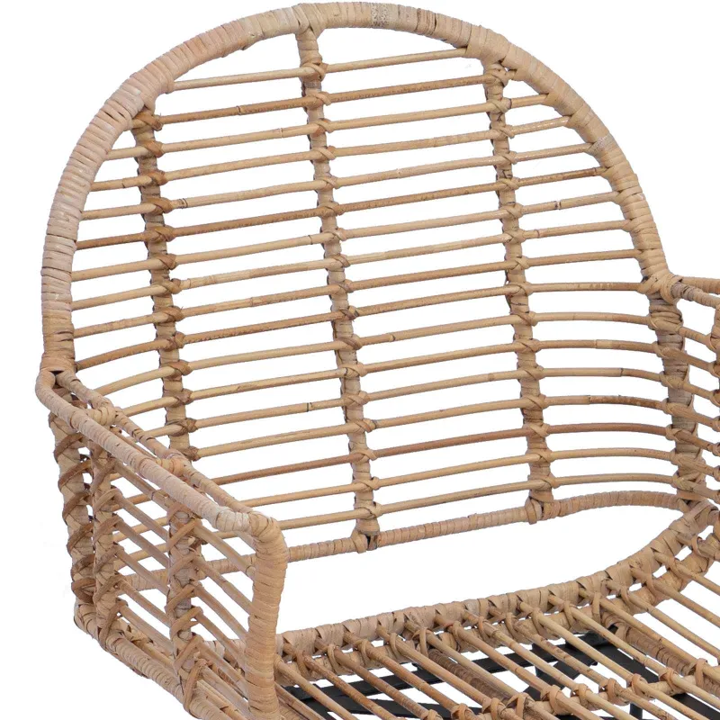 Valgomasis krėslas 2 pcs Ratanas ir Geležis Natūrali