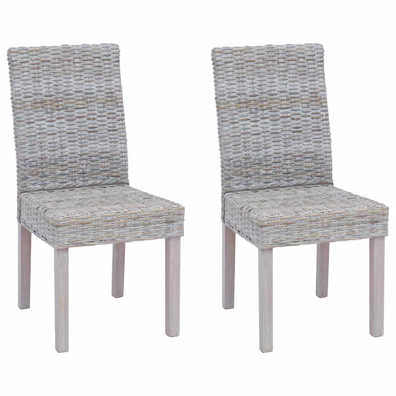 Valgomasis krėslas 2 pcs
