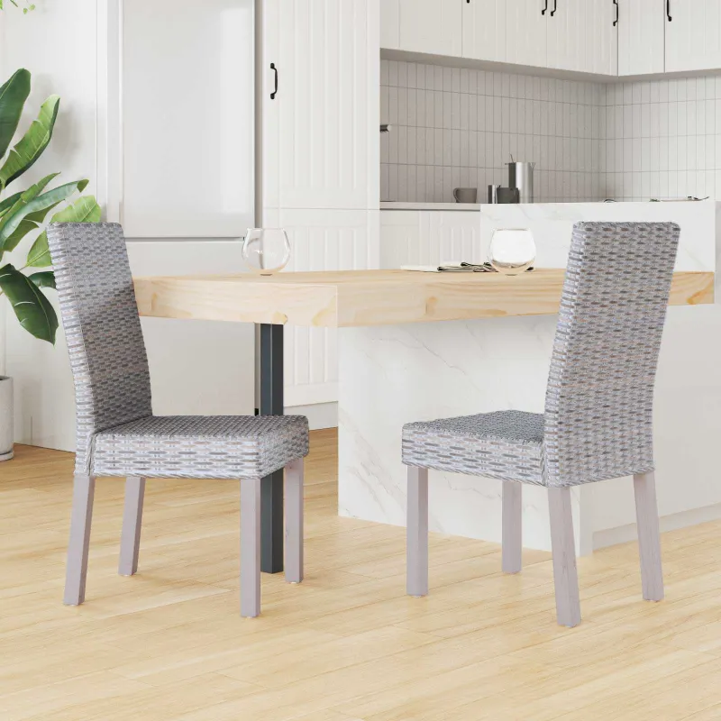 Valgomasis krėslas 2 pcs