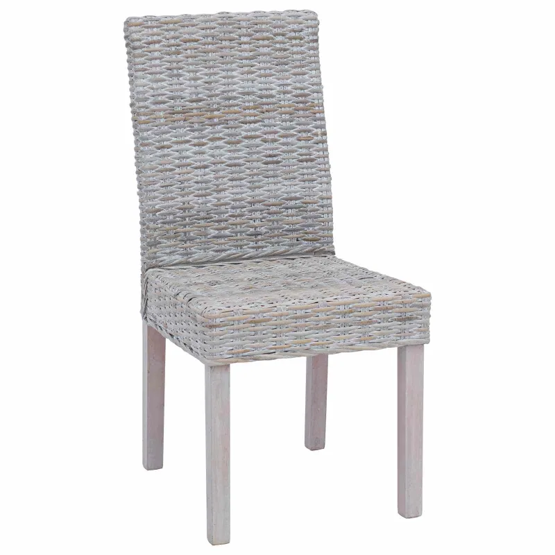 Valgomasis krėslas 2 pcs