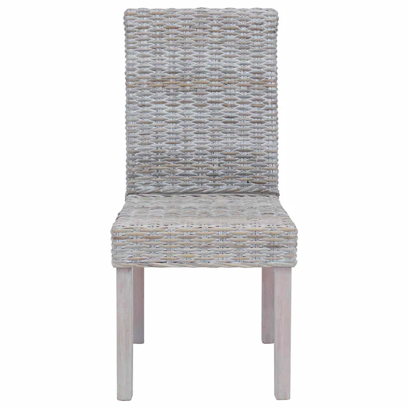 Valgomasis krėslas 2 pcs