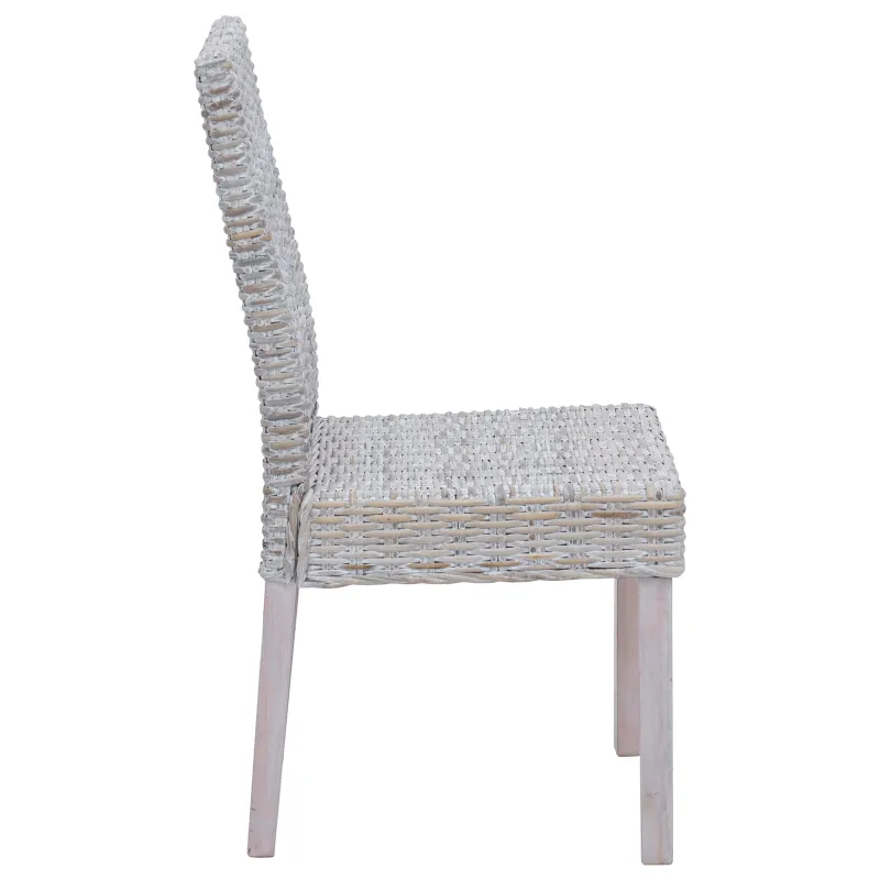 Valgomasis krėslas 2 pcs