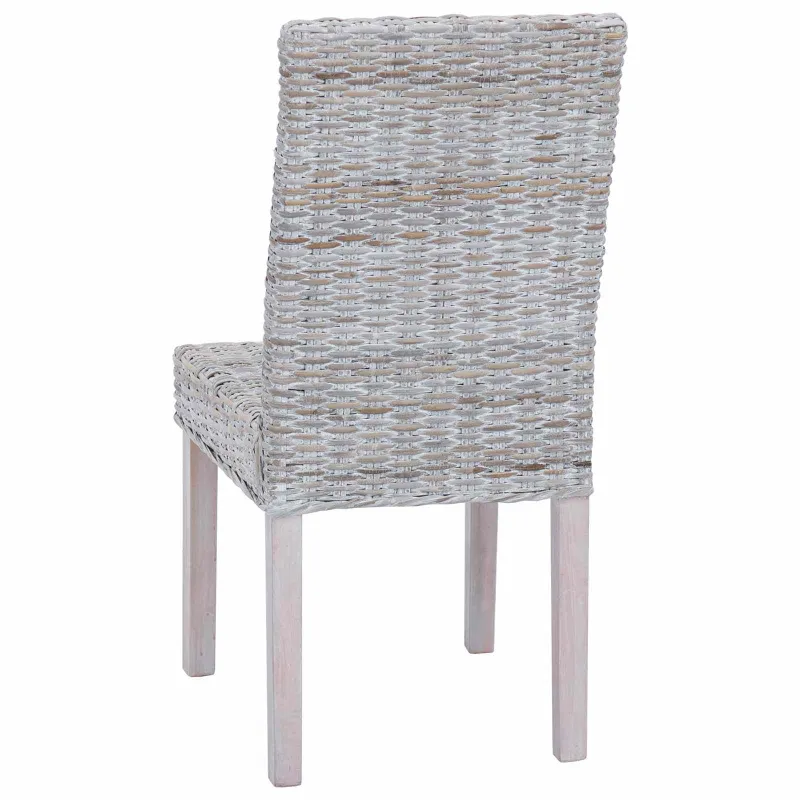Valgomasis krėslas 2 pcs