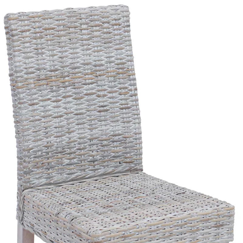 Valgomasis krėslas 2 pcs