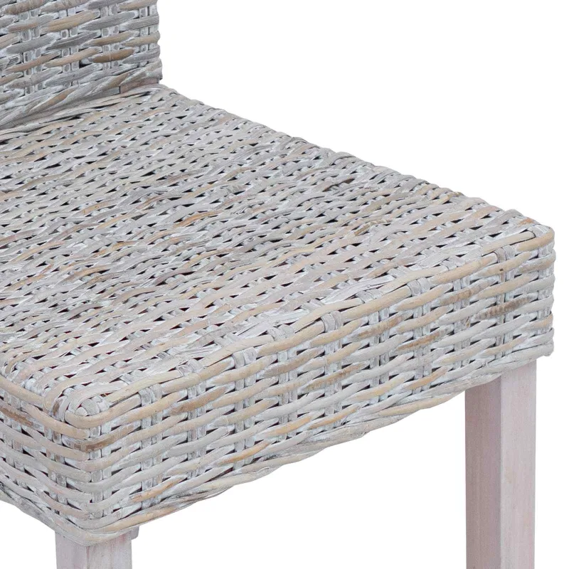 Valgomasis krėslas 2 pcs