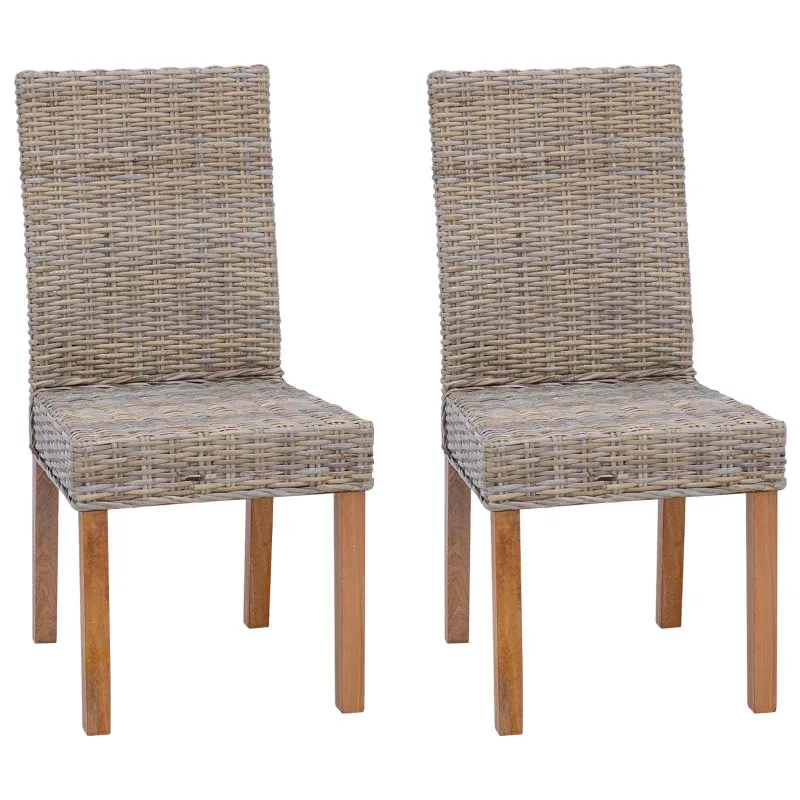 Valgomasis krėslas 2 pcs