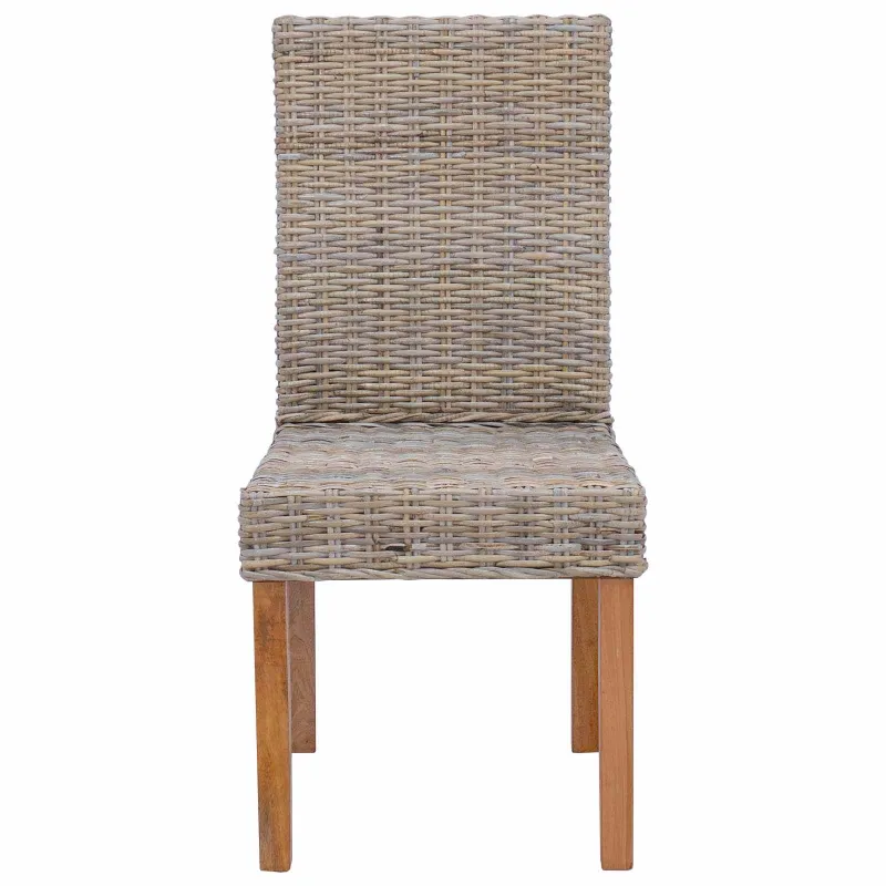 Valgomasis krėslas 2 pcs