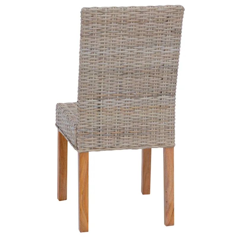 Valgomasis krėslas 2 pcs
