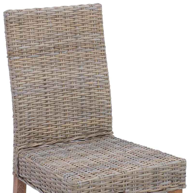 Valgomasis krėslas 2 pcs