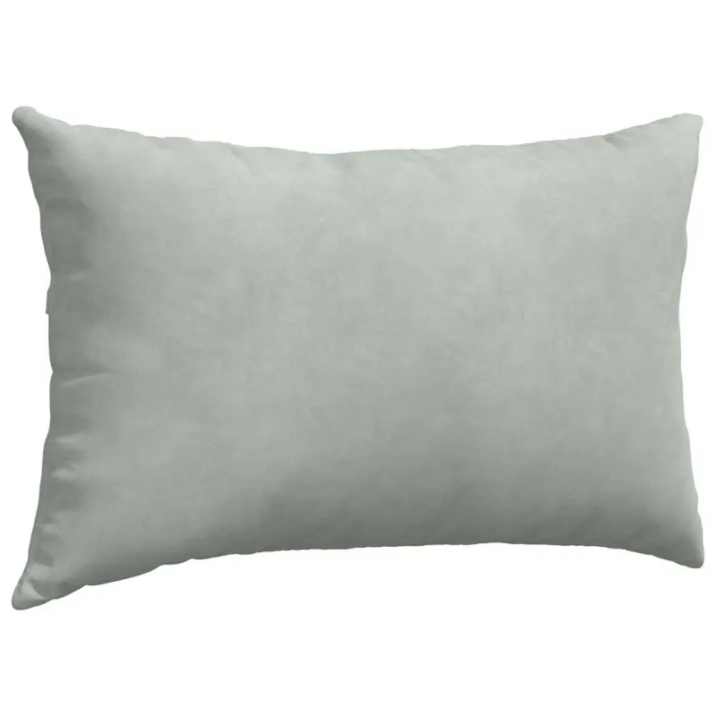Sofa Pagalvės 2 pcs Šviesiai pilka 50 x 30 cm