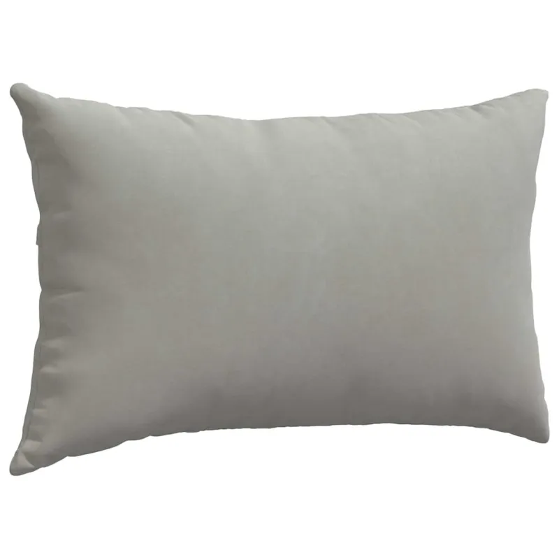 Sofa Pagalvės 2 pcs Šviesiai pilka 50 x 30 cm audinys