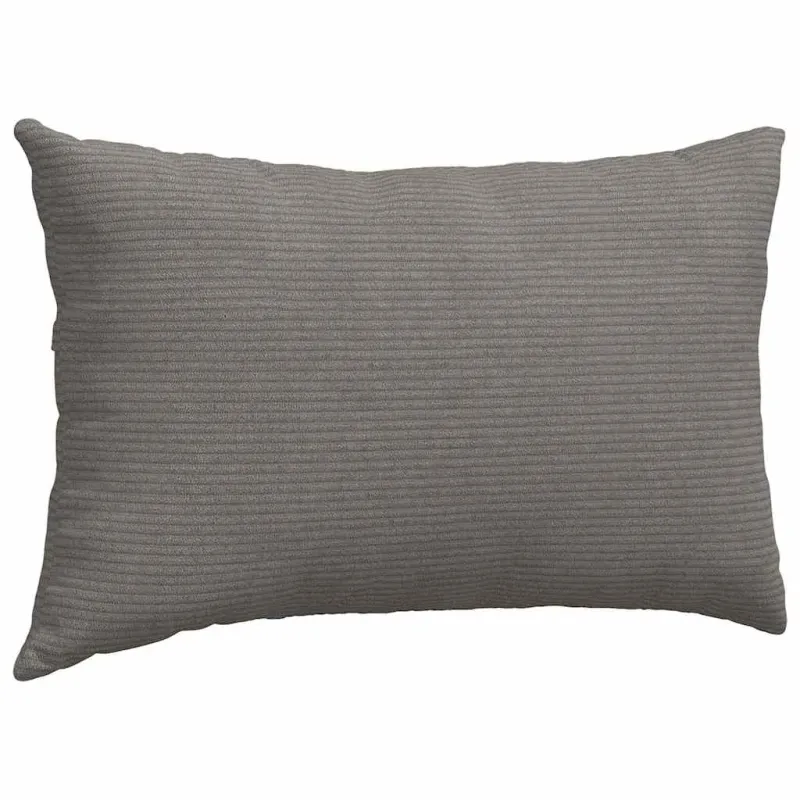 Sofa Pagalvės 2 pcs Šviesiai pilka 50 x 30 cm