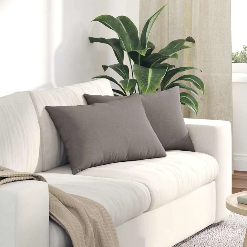 Sofa Pagalvės 2 pcs Tortora 60 x 40 cm audinys
