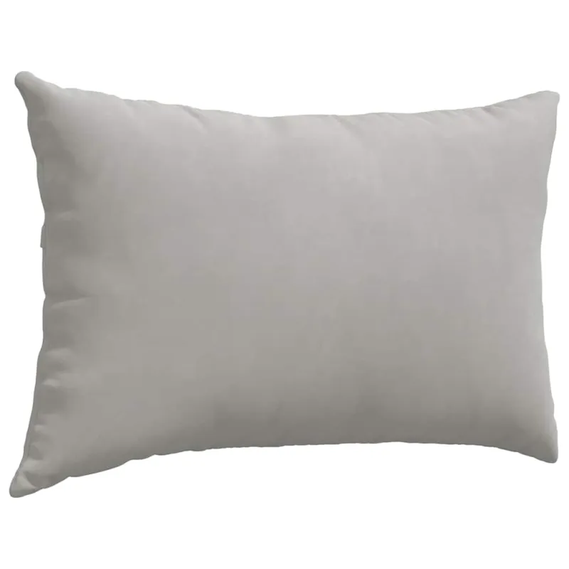 Sofa Pagalvės 2 pcs Šviesiai pilka 60 x 40 cm audinys