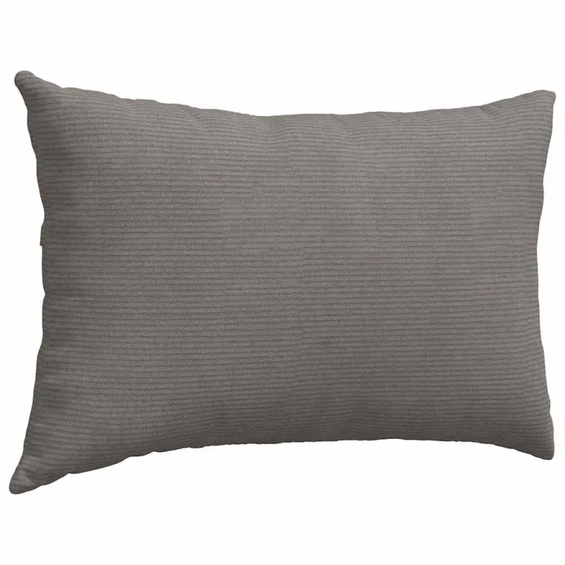 Sofa Pagalvės 2 pcs Šviesiai pilka 60 x 40 cm