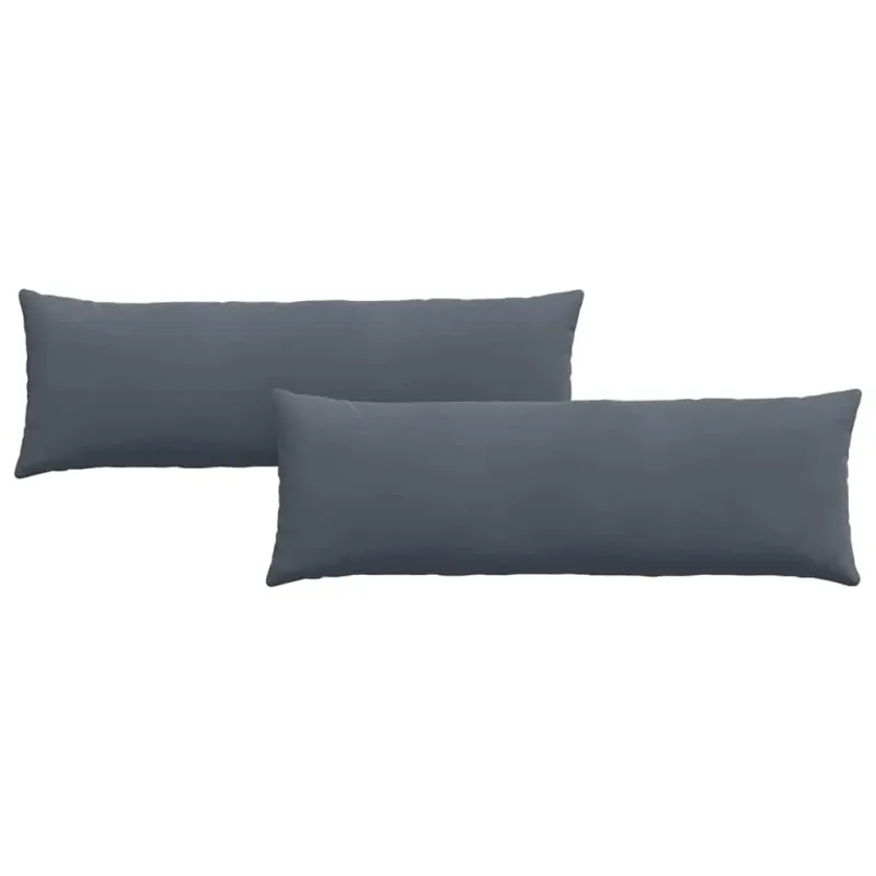 Sofa Pagalvės 2 pcs Tamsiai pilka 120 x 40 cm
