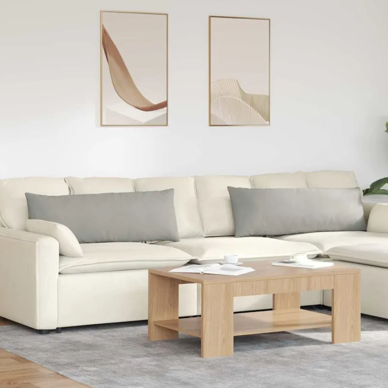 Sofa Pagalvės 2 pcs Šviesiai pilka 120 x 40 cm audinys
