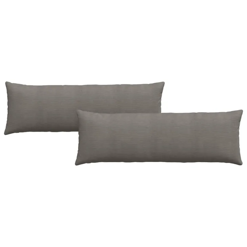Sofa Pagalvės 2 pcs Šviesiai pilka 120 x 40 cm