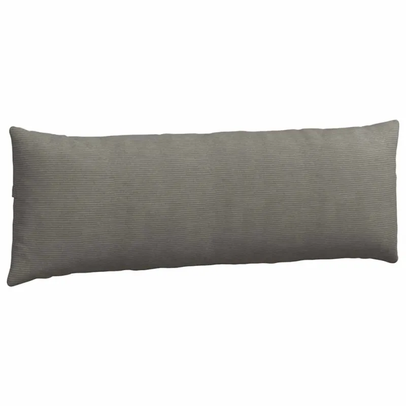 Sofa Pagalvės 2 pcs Šviesiai pilka 120 x 40 cm