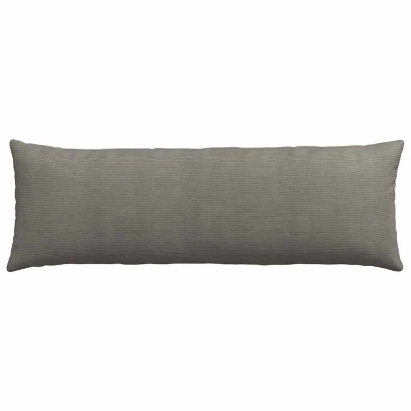 Sofa Pagalvės 2 pcs Šviesiai pilka 120 x 40 cm