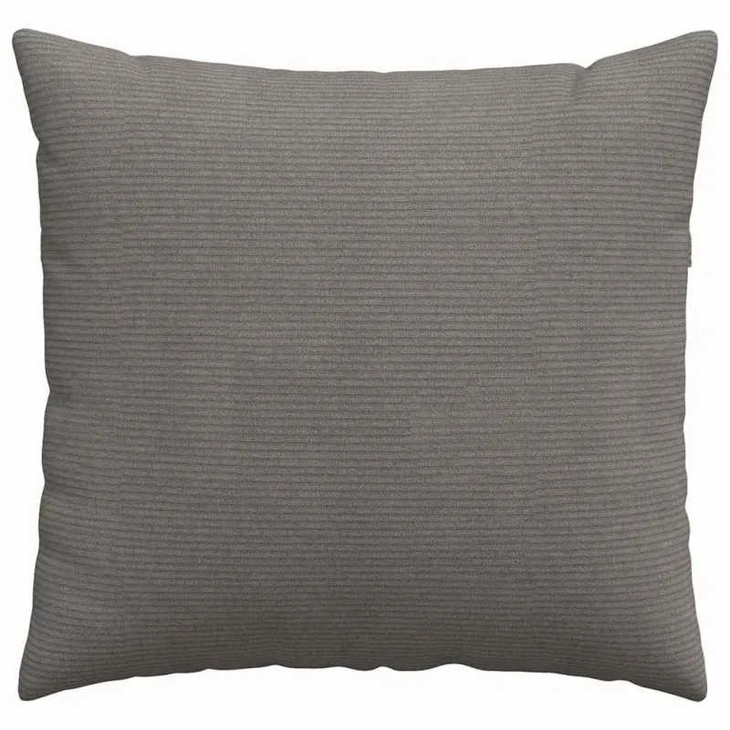 Sofa Pagalvės 2 pcs Šviesiai pilka 45 x 45 cm