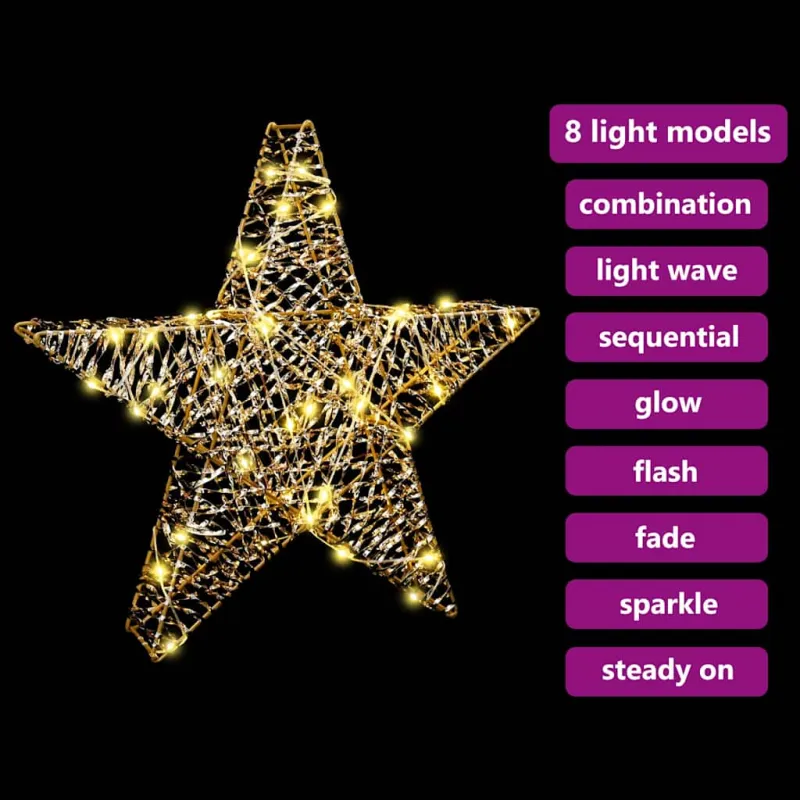 3D žvaigždė su 50 LED Šilta balta 55 x 52.5 x 9 cm PET