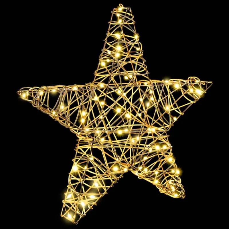 3D žvaigždė su 50 LED Šilta balta 55 x 52.5 x 9 cm Ratanas