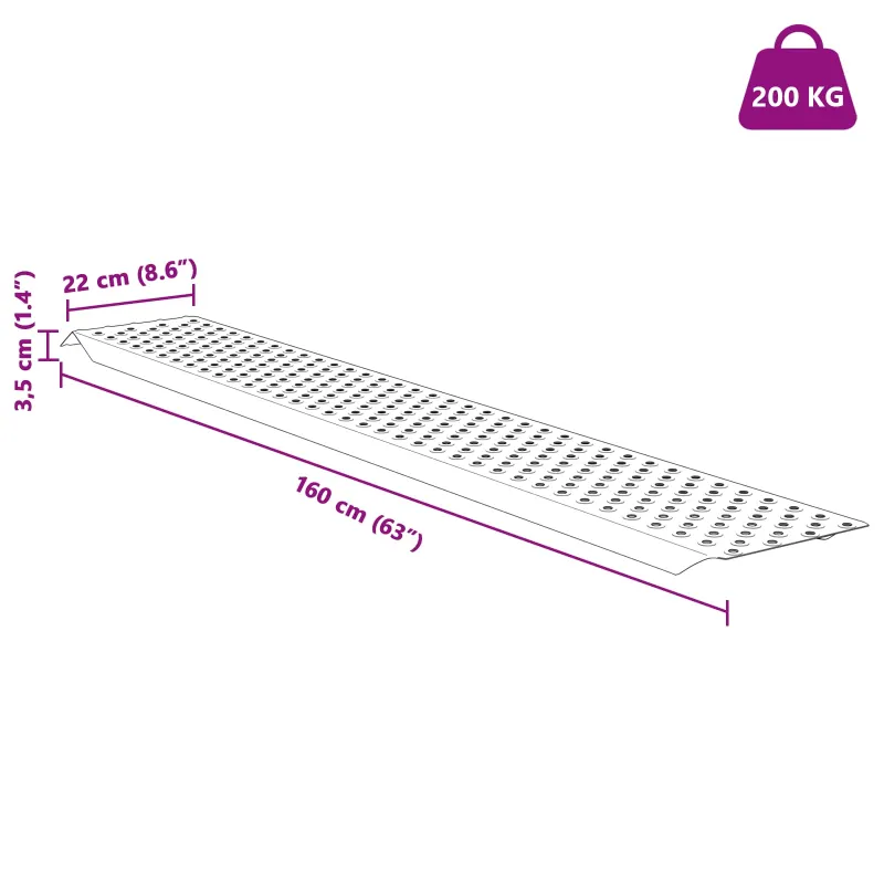 Pakrovimo rampos 200 kg Sidabro 159 x 23 x 5 cm