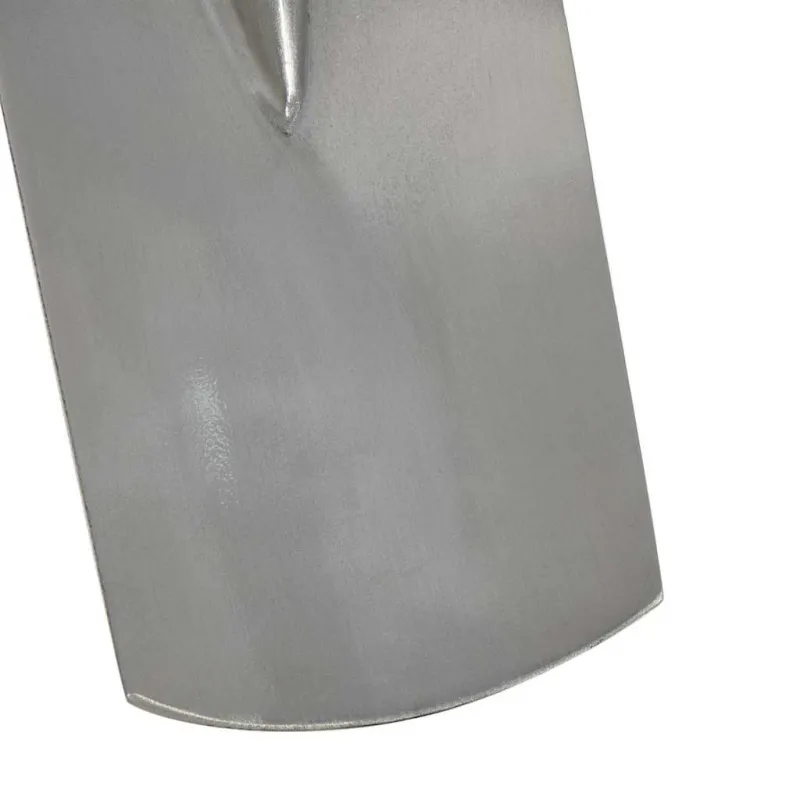 Kastuvo galva Sidabro 43 x 17 cm