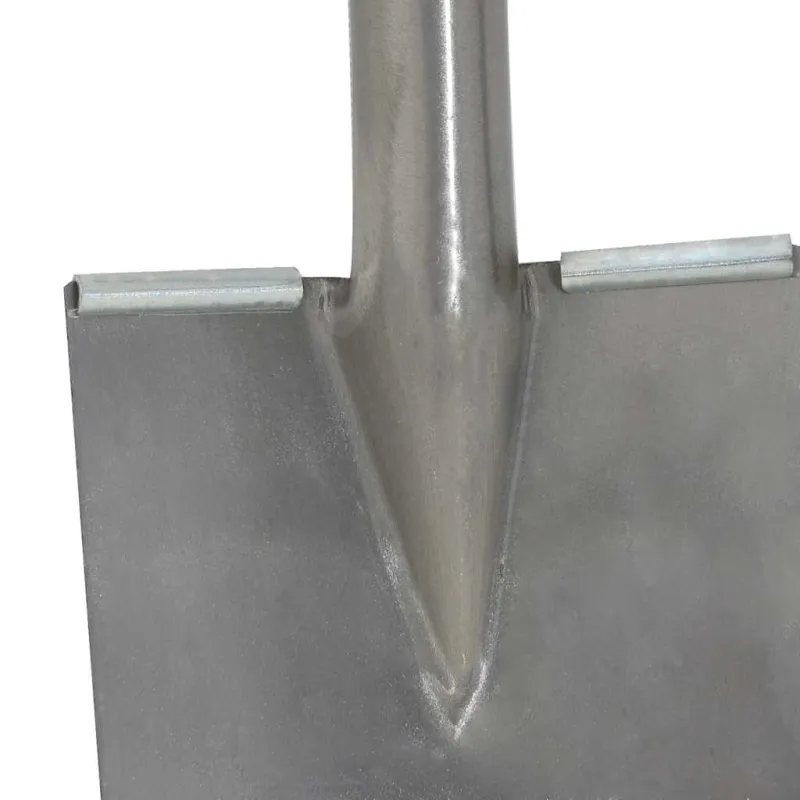 Kastuvo galva Sidabro 43 x 17 cm