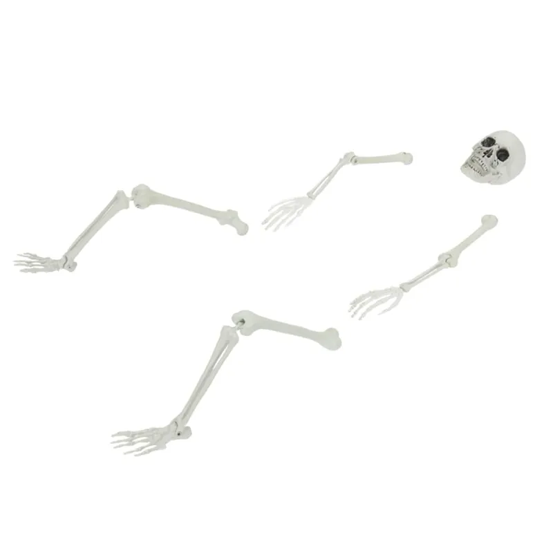 Helovino skeletas su žemės kuolais Balta 45,5 x 13 cm