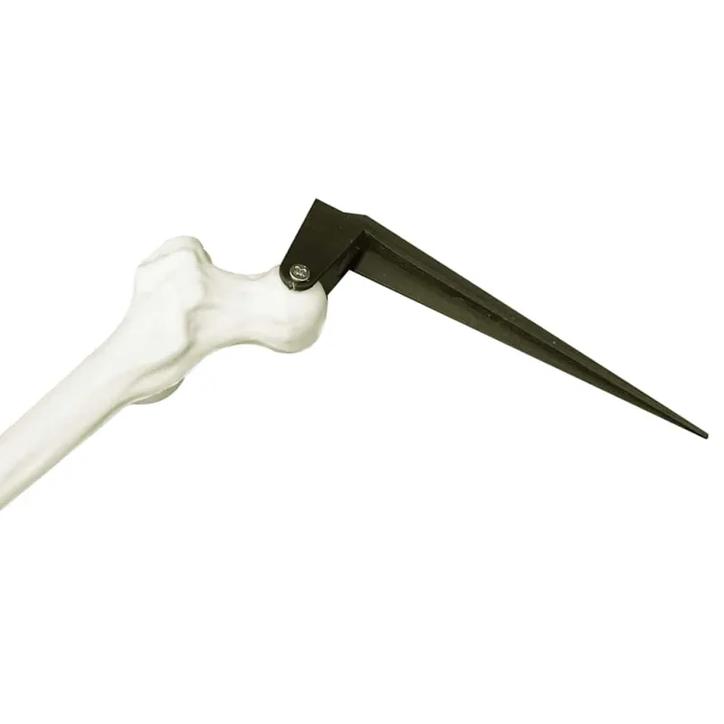 Helovino skeletas su žemės kuolais Balta 45,5 x 13 cm